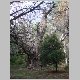 DSC05030.JPG