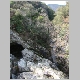 DSC05052.JPG