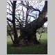 DSC05061.JPG