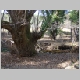 DSC05080.JPG