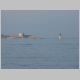 DSC05971.JPG