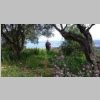 2015-05-09-rando-quicon-montjoie-roumagnan-03-3.jpg