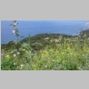 2015-05-09-rando-quicon-montjoie-roumagnan-07-2.jpg