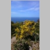 2015-05-09-rando-quicon-montjoie-roumagnan-12-3.jpg
