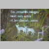 2015-05-09-rando-quicon-montjoie-roumagnan-32.jpg