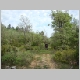 DSC04552.JPG