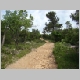 DSC04561.JPG