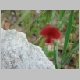 DSC04570.JPG