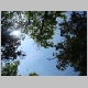 DSC04636.JPG