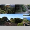2014-11-07-le-mai-collage-05.jpg