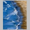 saint-cyr-dune-sable-nartette-gache-92.jpg