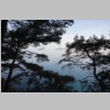 rando-saint-cyr-madrague-port-alon-sentier-vignes-2015-03-08-15.JPG