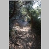 rando-saint-cyr-madrague-port-alon-sentier-vignes-2015-03-08-20.JPG