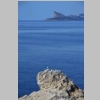 rando-saint-cyr-madrague-port-alon-sentier-vignes-2015-03-08-37.JPG