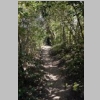 rando-saint-cyr-madrague-port-alon-sentier-vignes-2015-03-08-47.JPG