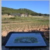 rando-saint-cyr-madrague-port-alon-sentier-vignes-2015-03-08-49.JPG