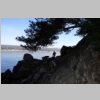 rando-saint-cyr-madrague-port-alon-sentier-vignes-2015-03-08-9.JPG
