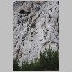 DSC_6076.JPG