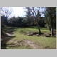 DSC01490.JPG