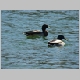 DSC01533.JPG