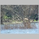 DSC01535.JPG