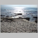 DSC04758.JPG