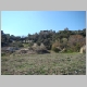 DSC04786.JPG