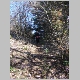 DSC06224.JPG