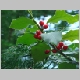 DSC03940.JPG