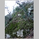 DSC03952.JPG