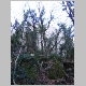 DSC03956.JPG