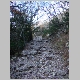 DSC03957.JPG