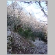 DSC03958.JPG