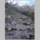 DSC03959.JPG