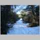 DSC01209.JPG