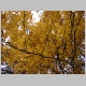 DSC09376.JPG