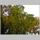 DSC09377.JPG