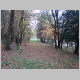 DSC09379.JPG