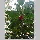 DSC09389.JPG