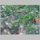DSC09405.JPG