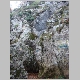 DSC09408.JPG