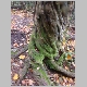 DSC09423.JPG