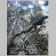 DSC09425.JPG