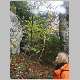 DSC09426.JPG