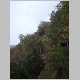 DSC09445.JPG