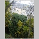 DSC09453.JPG
