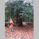 DSC09466.JPG