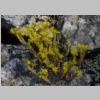 2015-05-18-salernes-08.jpg