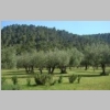 2015-05-18-salernes-12-2.jpg