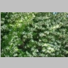 2015-05-18-salernes-13-2.jpg